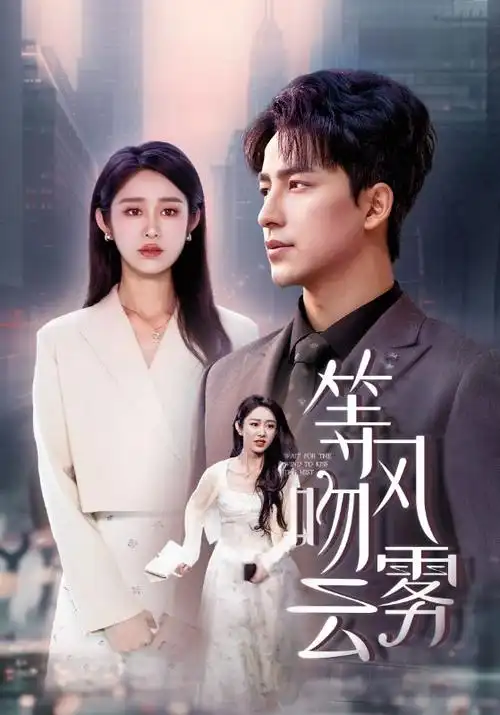 长夜破晓电视剧海报